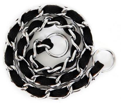Dog Collars & Leashes - Collars